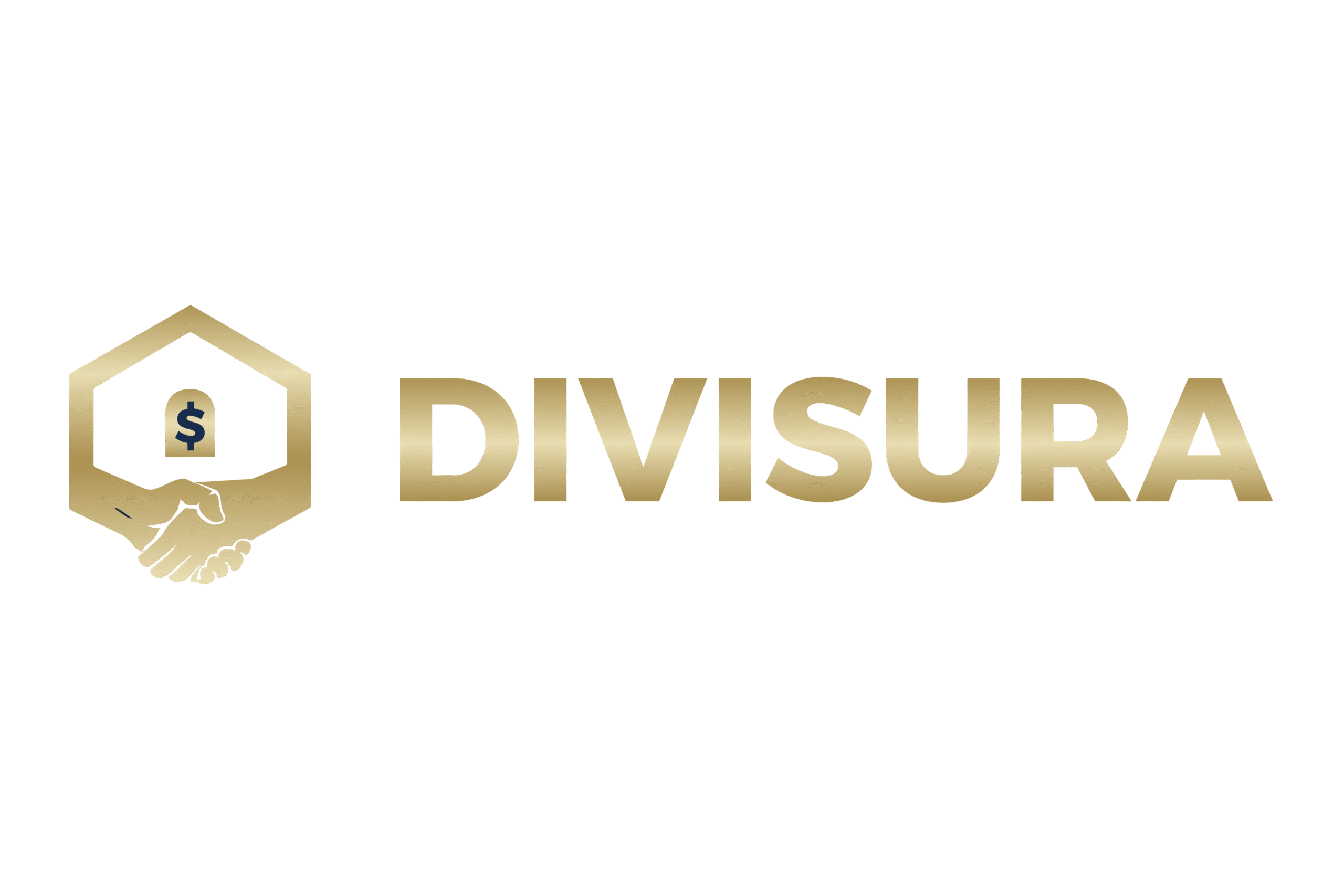 Divisura